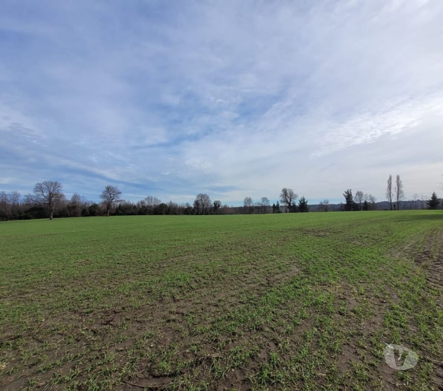Parcelas en Venta Ñuble El Carmen - Fotos de VENDO TERRENO AGRICOLA EN ZAPALLAR, EL CARMEN