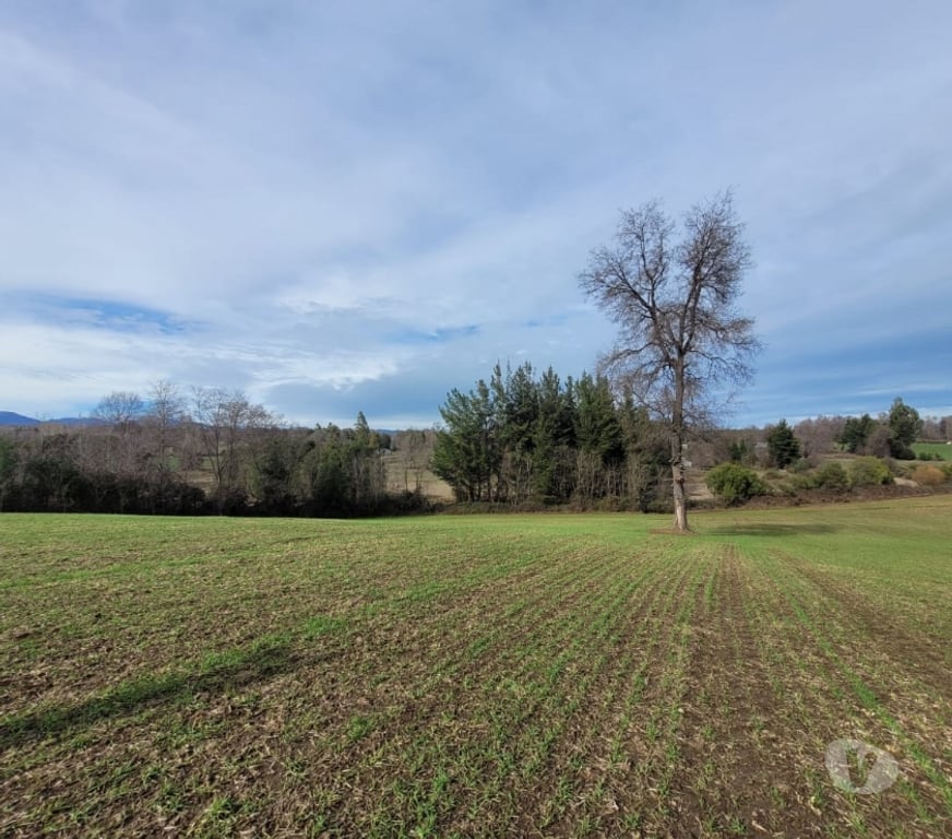 Parcelas en Venta Ñuble El Carmen - Fotos de VENDO TERRENO AGRICOLA EN ZAPALLAR, EL CARMEN