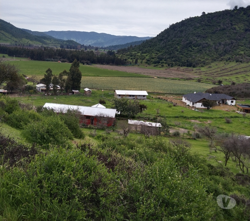 Bienes Raices Colchagua Santa Cruz - Fotos de Parcela con Casa Vendo en Santa Cruz