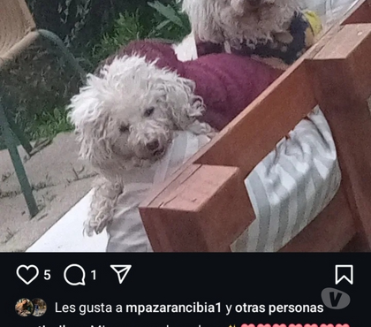 Servicios de Caridad Santiago Santiago - Fotos de Emilia yTomas necesitan de ti