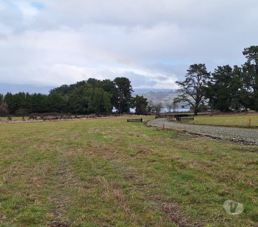 Parcelas en Venta Valdivia Panguipulli - Fotos de Parcelas a 2 kms de Panguipulli
