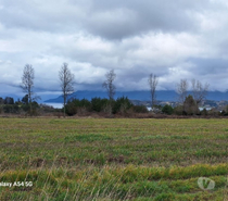 Fotos de Vendemos terrenos cercanos a Panguipulli