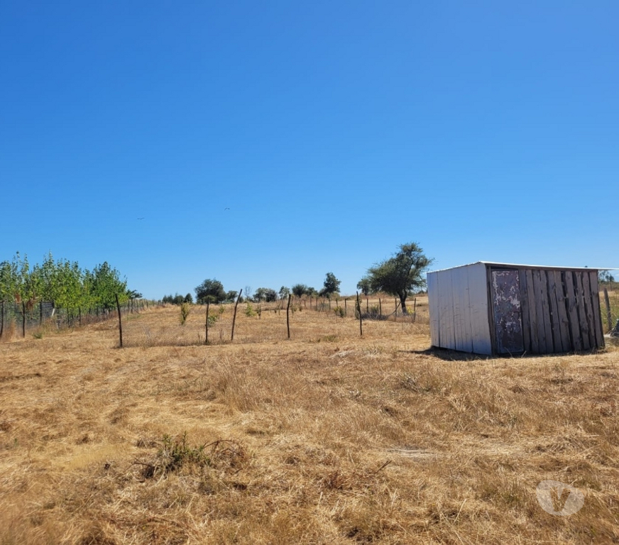 Parcelas en Venta Ñuble San Carlos - Fotos de EN VENTA PARCELA EN SECTOR JUNQUILLO, COMUNA SAN CARLOS