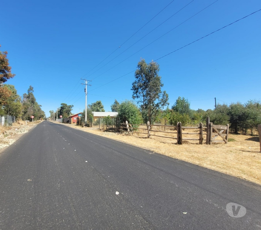 Parcelas en Venta Ñuble San Carlos - Fotos de EN VENTA PARCELA EN SECTOR JUNQUILLO, COMUNA SAN CARLOS