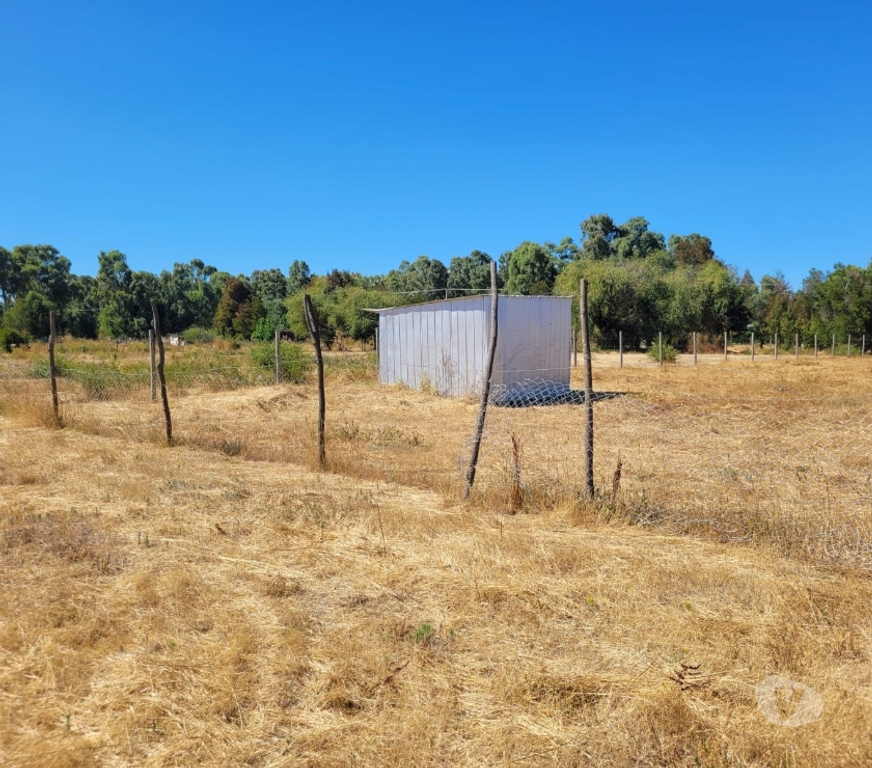 Parcelas en Venta Ñuble San Carlos - Fotos de EN VENTA PARCELA EN SECTOR JUNQUILLO, COMUNA SAN CARLOS