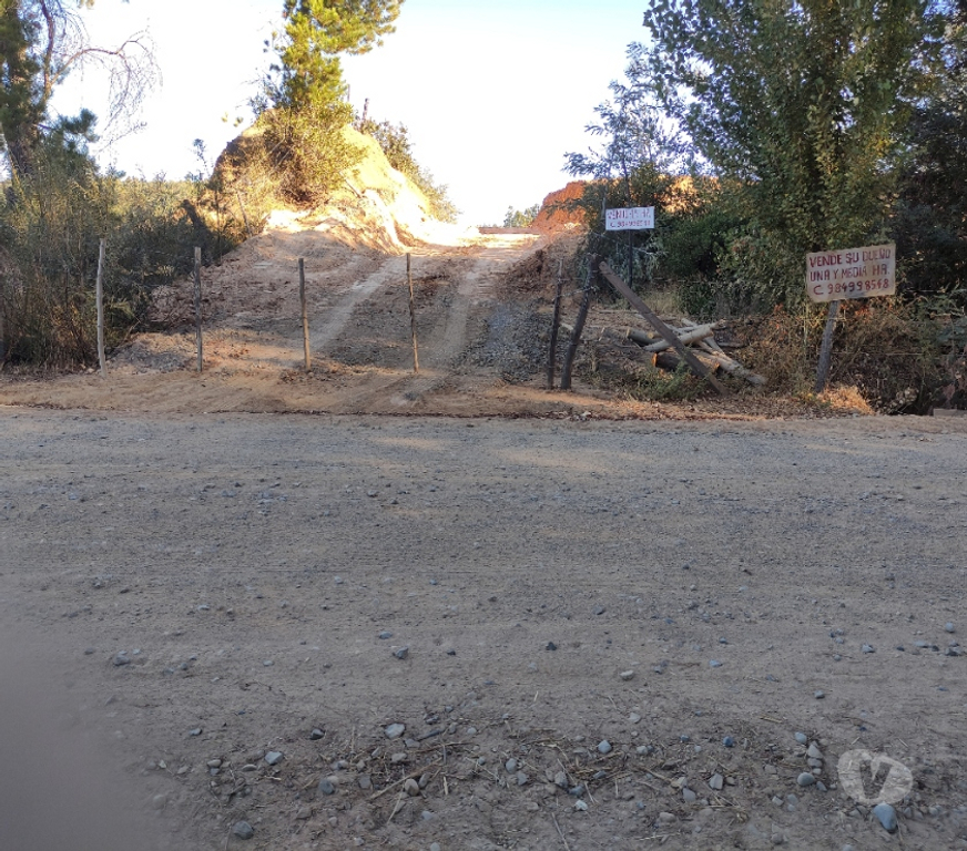 Parcelas en Venta Bío-Bío Yumbel - Fotos de Vendo 1,5 hectáreas camino a Cabrero sector paso hondo