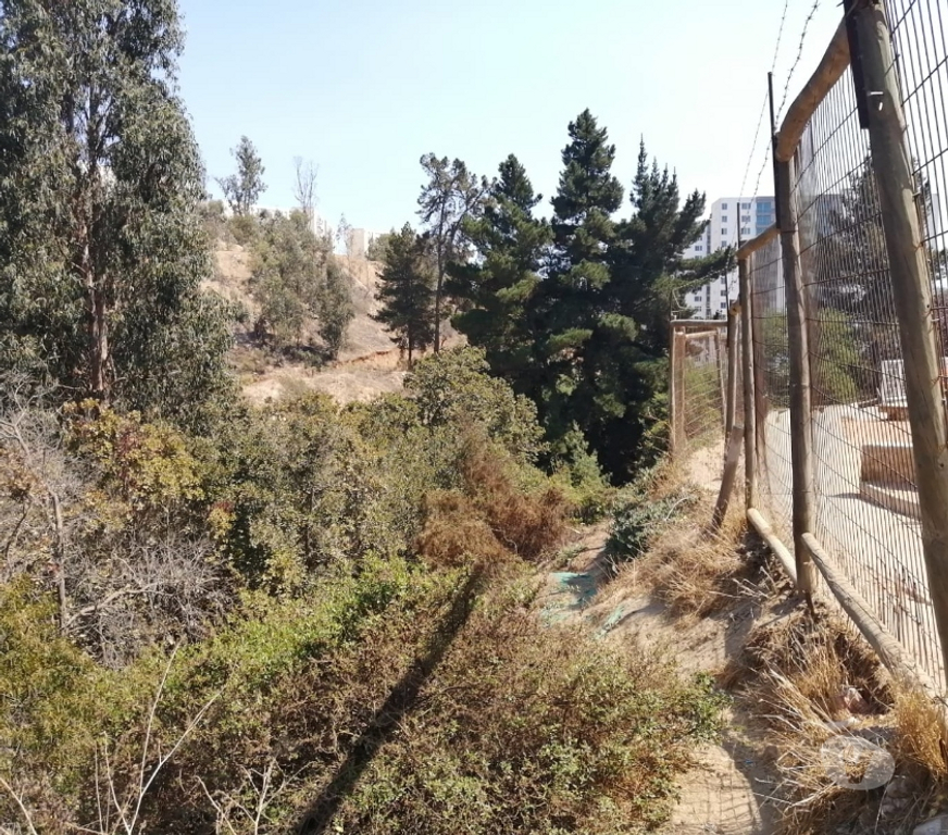Parcelas en Venta Valparaíso Viña del Mar - Fotos de TERRENO IDEAL INVERSIÓN REÑACA ALTO.