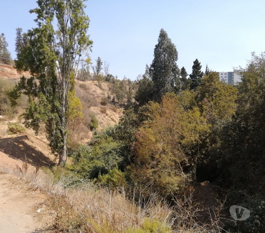 Parcelas en Venta Valparaíso Viña del Mar - Fotos de TERRENO IDEAL INVERSIÓN REÑACA ALTO.