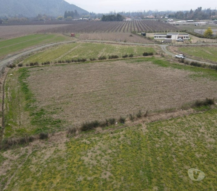 Parcelas en Venta Cachapoal Requíno - Fotos de Terreno La Reserva Sector El Vaticano Requinoa