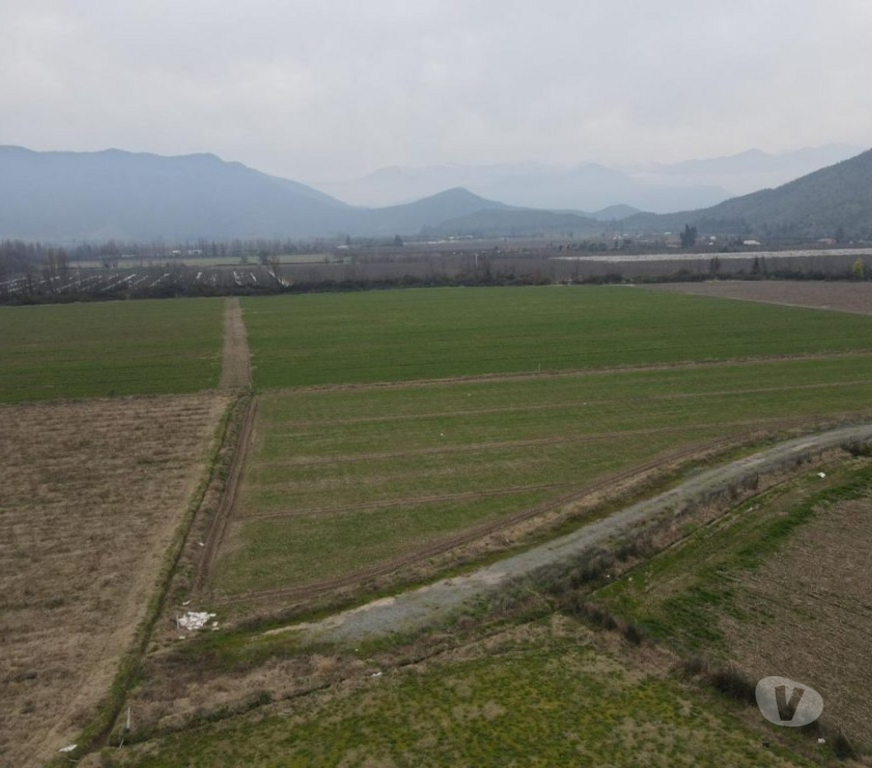 Parcelas en Venta Cachapoal Requíno - Fotos de Terreno La Reserva Sector El Vaticano Requinoa