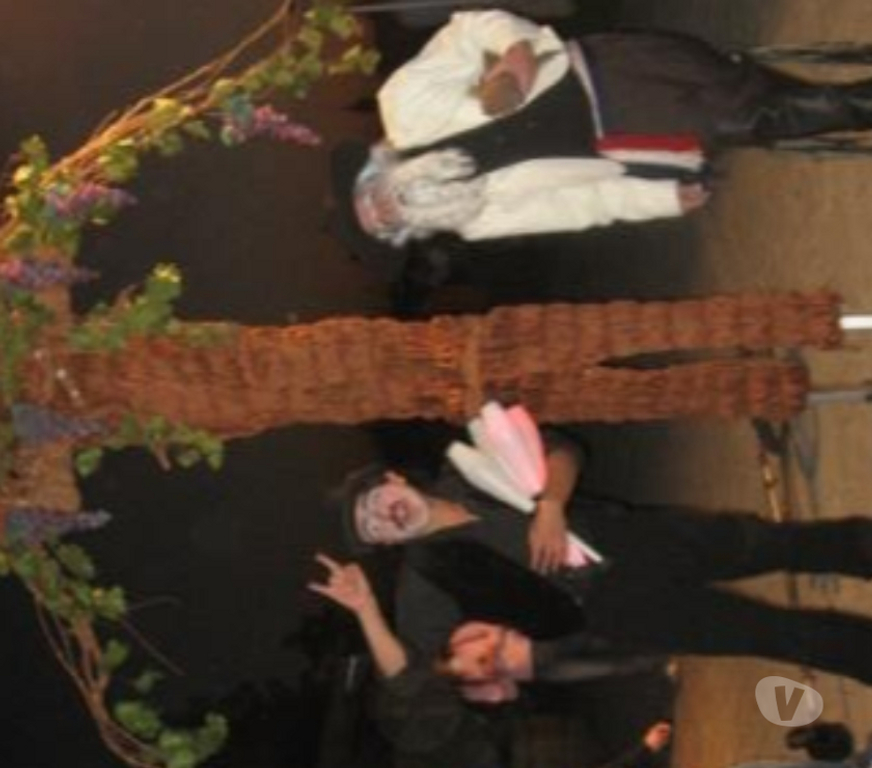 IOrganizador de Eventos Santiago Ñuñoa - Fotos de Shows de Circo y Carnaval para Eventos