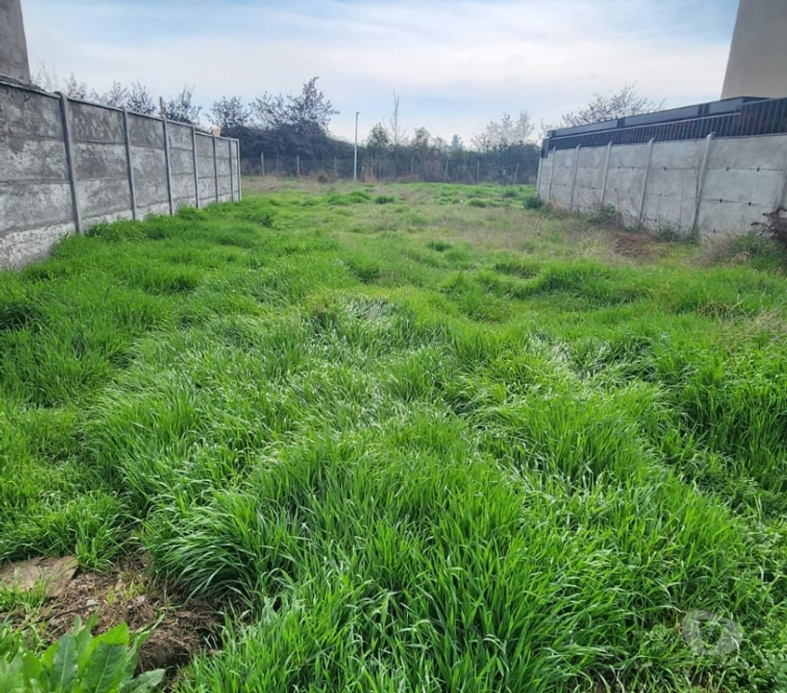 Parcelas en Venta Cachapoal Machal - Fotos de Terreno El Polo , Machalí