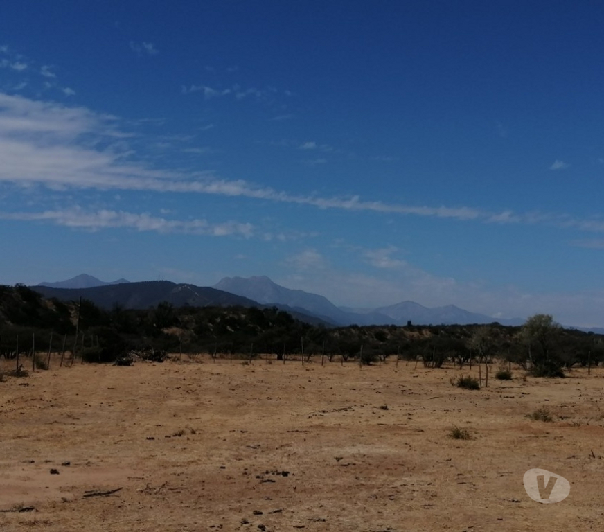 Parcelas en Venta Quillota Limache - Fotos de PARCELA PLANA SECTOR LOS BORRISQUEROS LIMACHE.