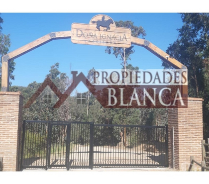 Parcelas en venta Limache Quillota - Fotos de PARCELA PLANA SECTOR LOS BORRISQUEROS LIMACHE.