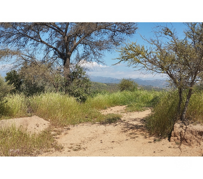 Parcelas en venta Limache Quillota - Fotos de PARCELA EN CAJON DEL LEBU LIMACHE