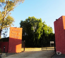 Fotos de PARCELA LOMAS DE TABOLANGO