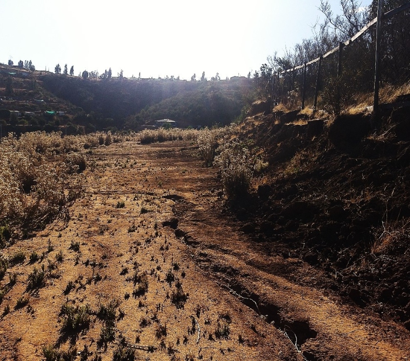 PARCELA 5000 MT2 FUNDO EL LEBU