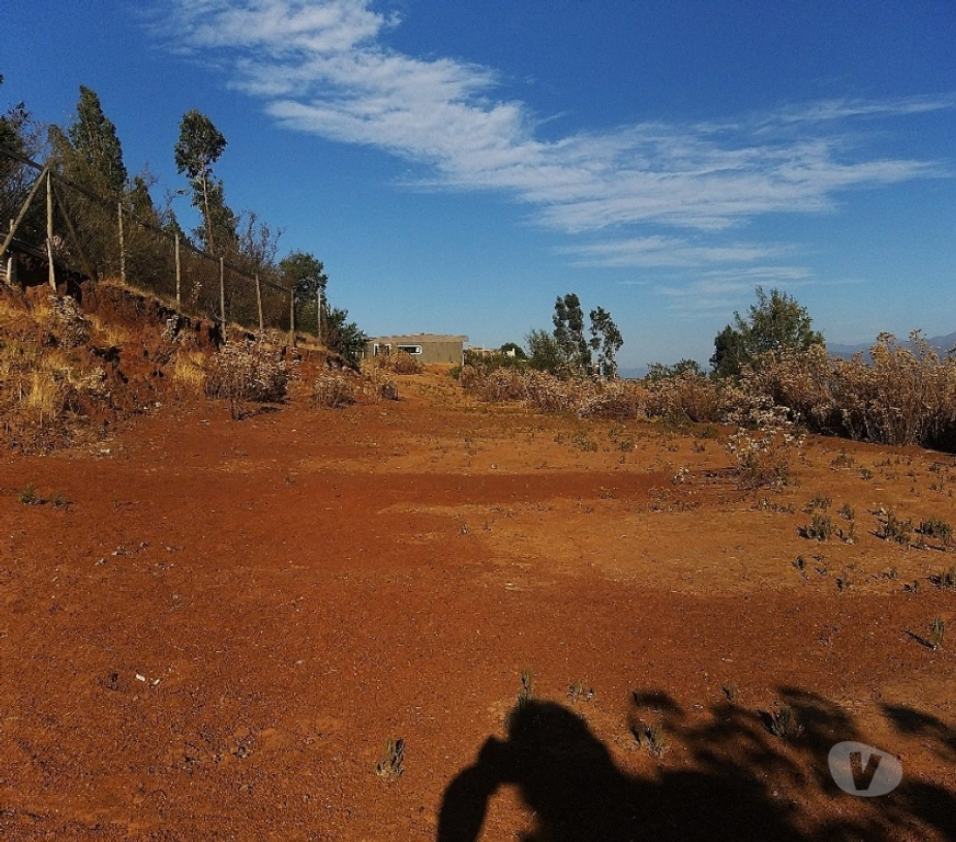 Parcelas en Venta Quillota Limache - Fotos de PARCELA 5000 MT2 FUNDO EL LEBU
