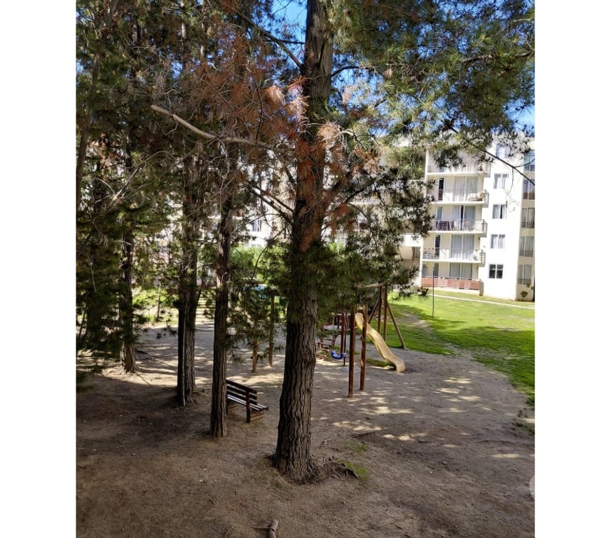Bienes Raices Valparaíso Valparaíso - Fotos de DEPARTAMENTO SEGUNDO PISO CONDOMINIO PARQUE CURAUMA