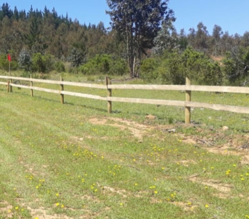 Venta de Campos Pencahue Talca - Fotos de Se vende parcela