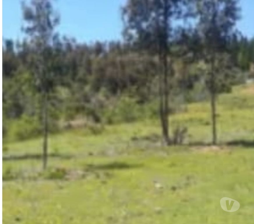 Venta de Haciendas Talca Pencahue - Fotos de Se vende parcela