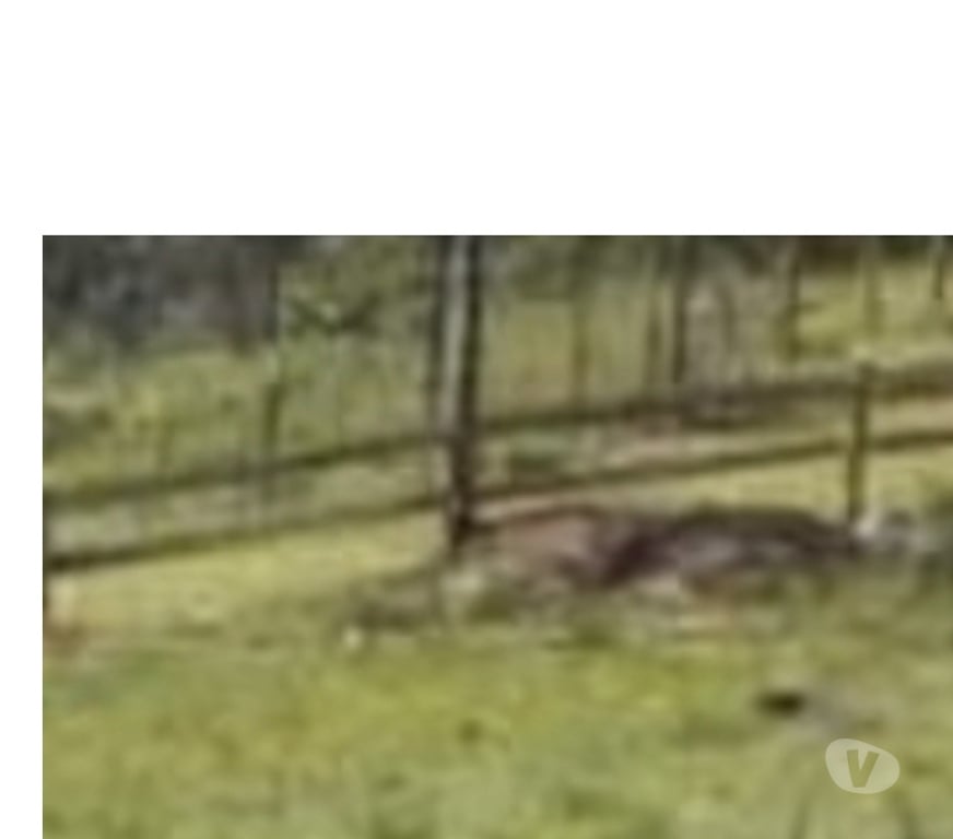 Venta de Haciendas Talca Pencahue - Fotos de Se vende parcela