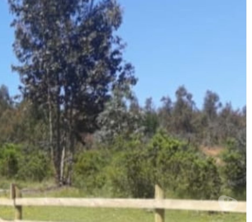 Venta de Haciendas Talca Pencahue - Fotos de Se vende parcela