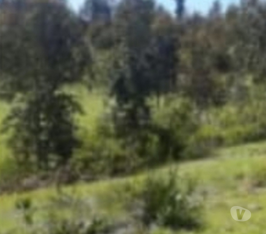 Venta de Haciendas Talca Pencahue - Fotos de Se vende parcela