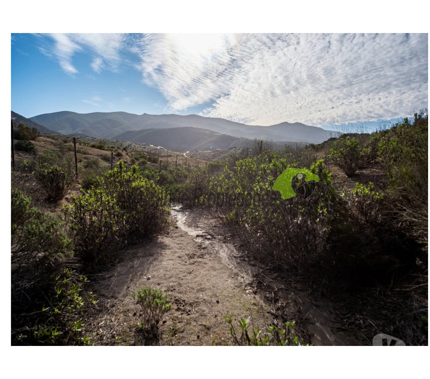 Parcelas en Venta Elqui La Serena - Fotos de Parcela 5000 m2, hermosa vista. La Estrella, La Serena