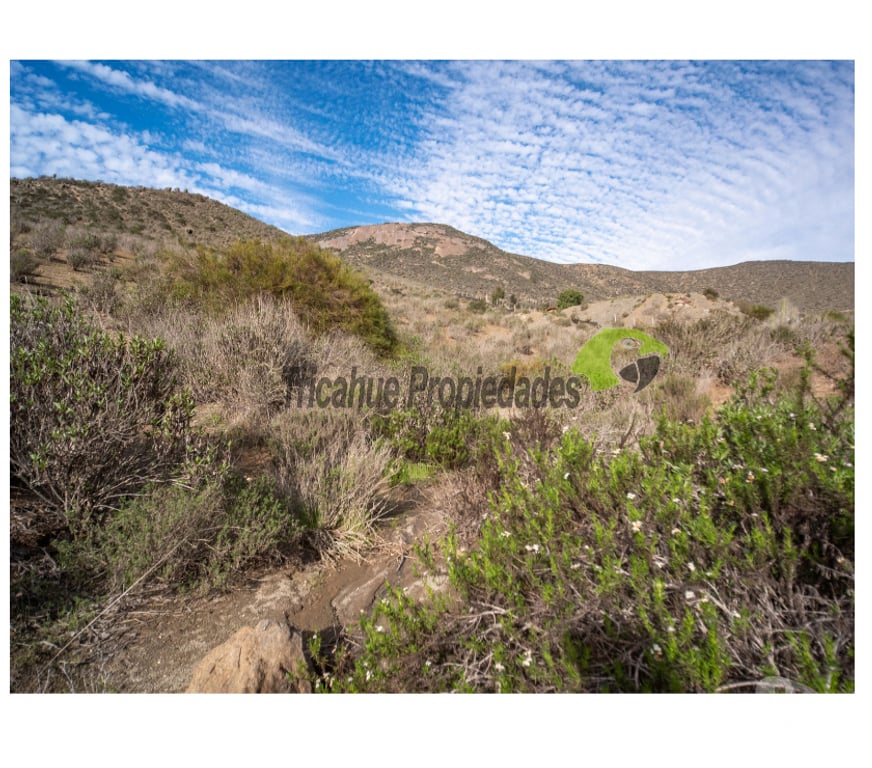Parcelas en Venta Elqui La Serena - Fotos de Parcela 5000 m2, hermosa vista. La Estrella, La Serena