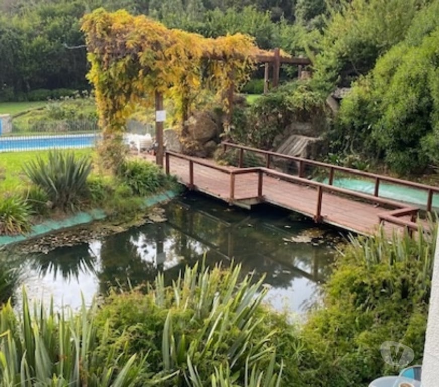 Bienes Raices Valparaíso Viña del Mar - Fotos de VENDO LOFT CONDOMINIO JARDIN DEL MAR REÑACA VIÑA DEL MAR