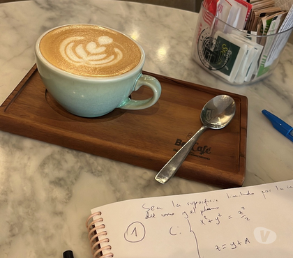 Clases Particulares de Apoyo Estación Central Santiago - Fotos de Clases pruebas WhatsApp matemáticas física