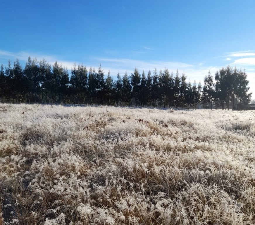 Parcelas en Venta Llanquihue Frutillar - Fotos de Parcela de 4 hectáreas sector Loma la piedra Casma