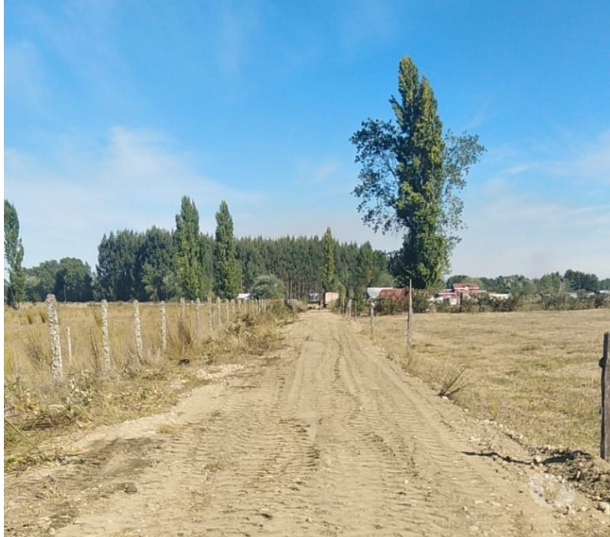 Parcelas en Venta Llanquihue Frutillar - Fotos de Parcela de 4 hectáreas sector Loma la piedra Casma