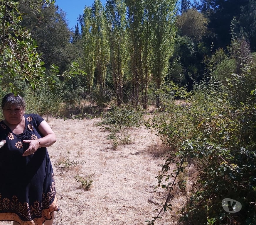 Venta de Haciendas Concepción Hualqui - Fotos de Hermosa parcela 1.8 Ha y río