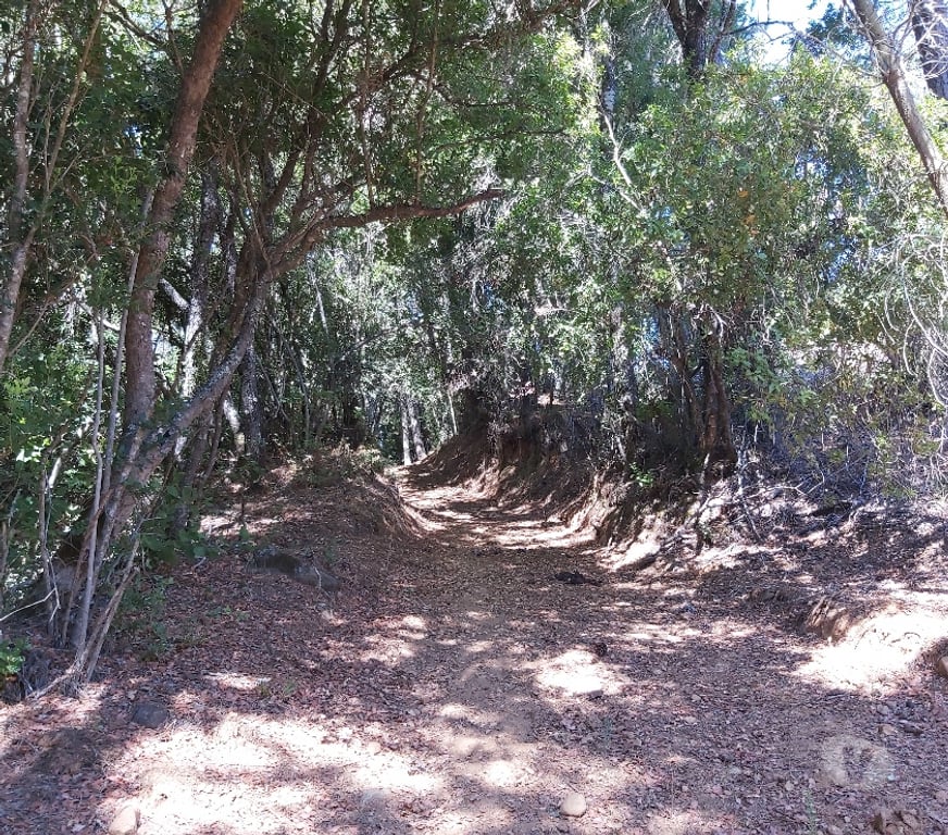 Venta de Haciendas Concepción Hualqui - Fotos de Hermosa parcela 1.8 Ha y río