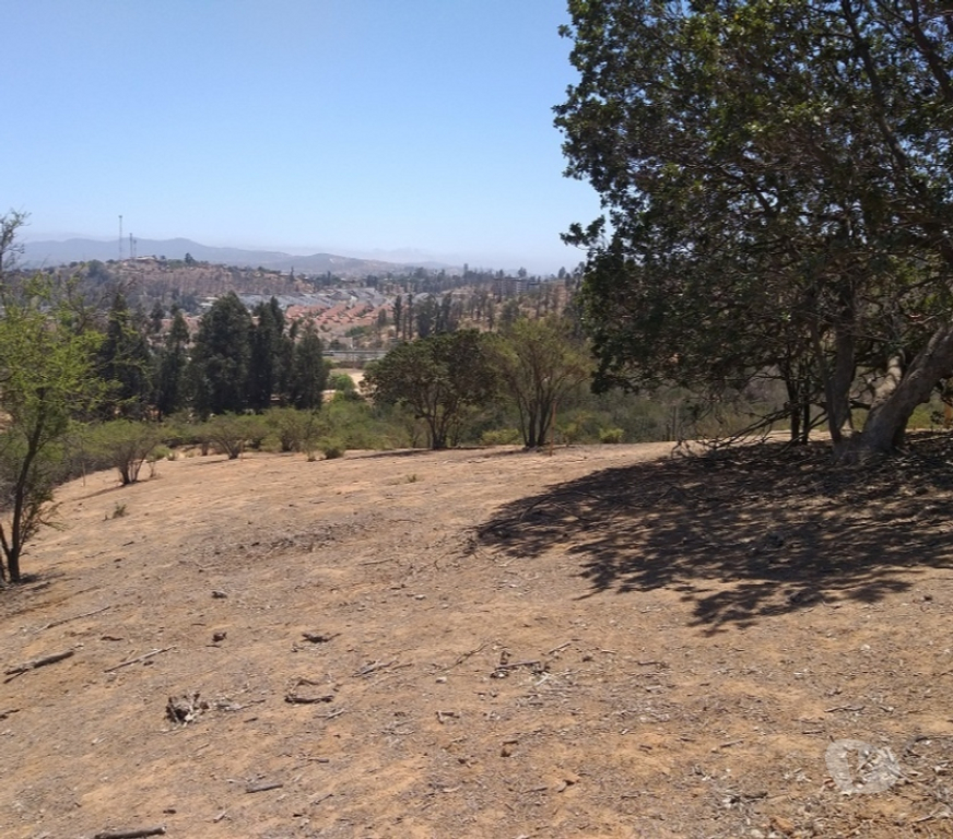 Parcelas en Venta Valparaíso Villa Alemana - Fotos de TERRENO LOMAS DEL CARMEN PEÑABLANCA
