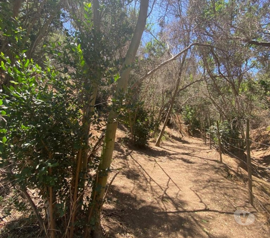 Arriendos Valparaíso Villa Alemana - Fotos de PARCELA SECTOR DE ALTA PLUSVALÍA CAMINO LA RINCONADA
