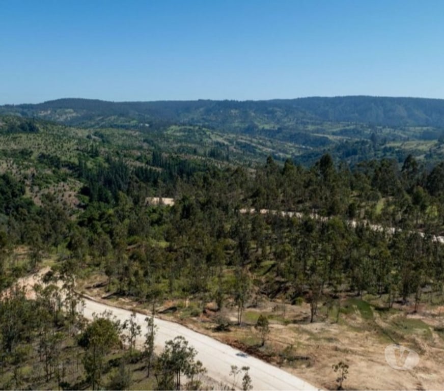 Parcelas en Venta Cardenal Caro Navidad - Fotos de Terreno Con Hermoso Entrono Vive Matanzas