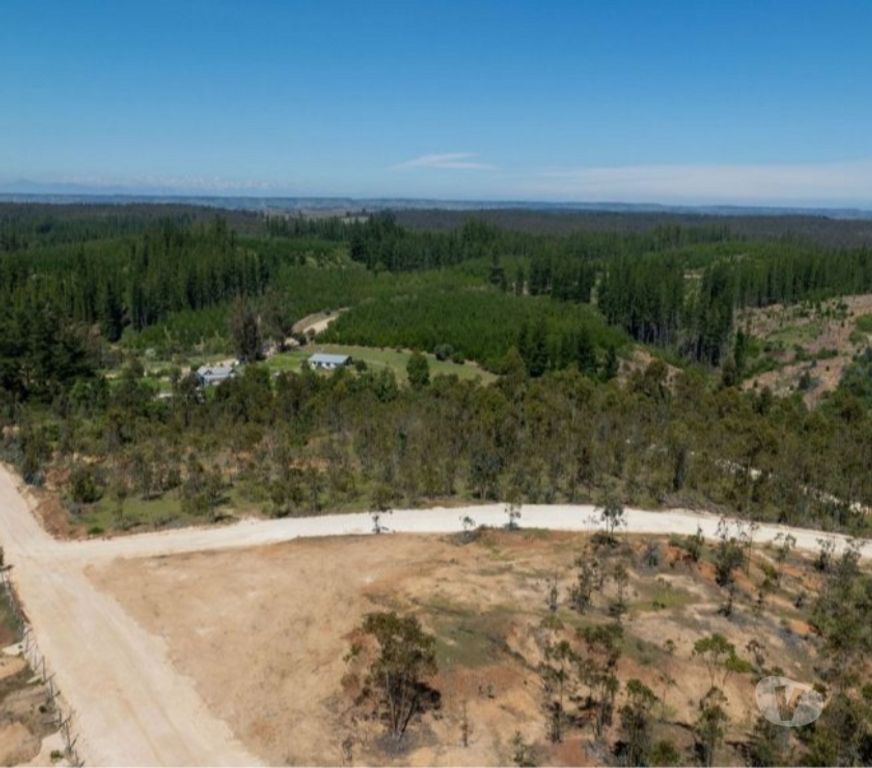 Parcelas en Venta Cardenal Caro Navidad - Fotos de Terreno Con Hermoso Entrono Vive Matanzas