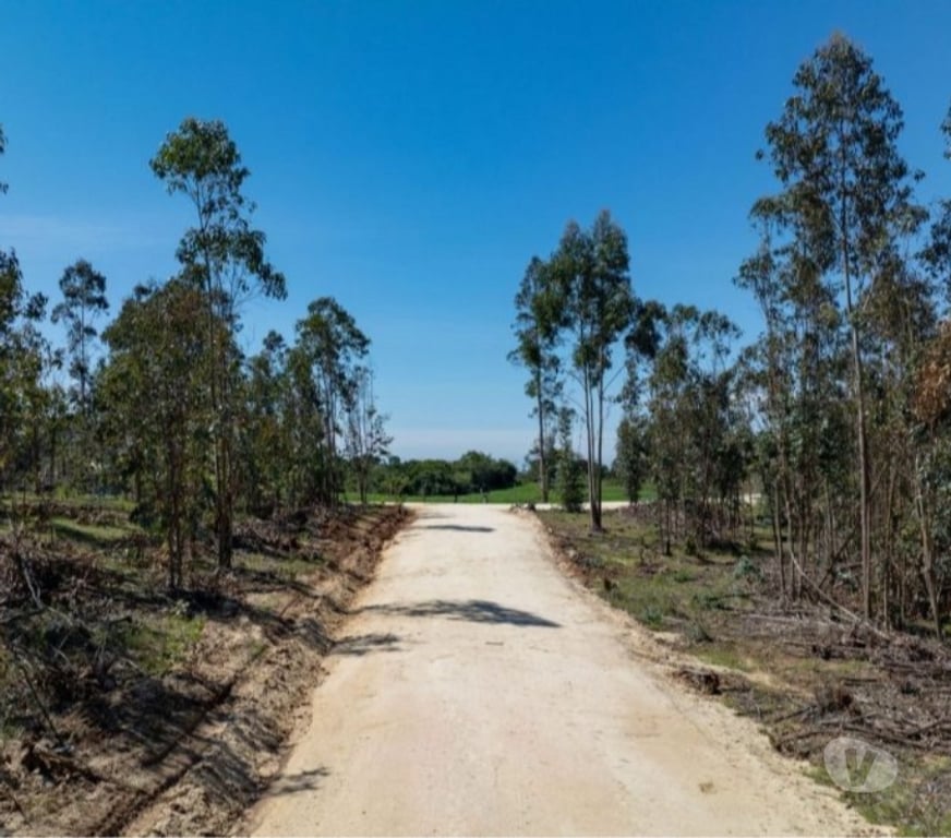 Parcelas en Venta Cardenal Caro Navidad - Fotos de Terreno Con Hermoso Entrono Vive Matanzas