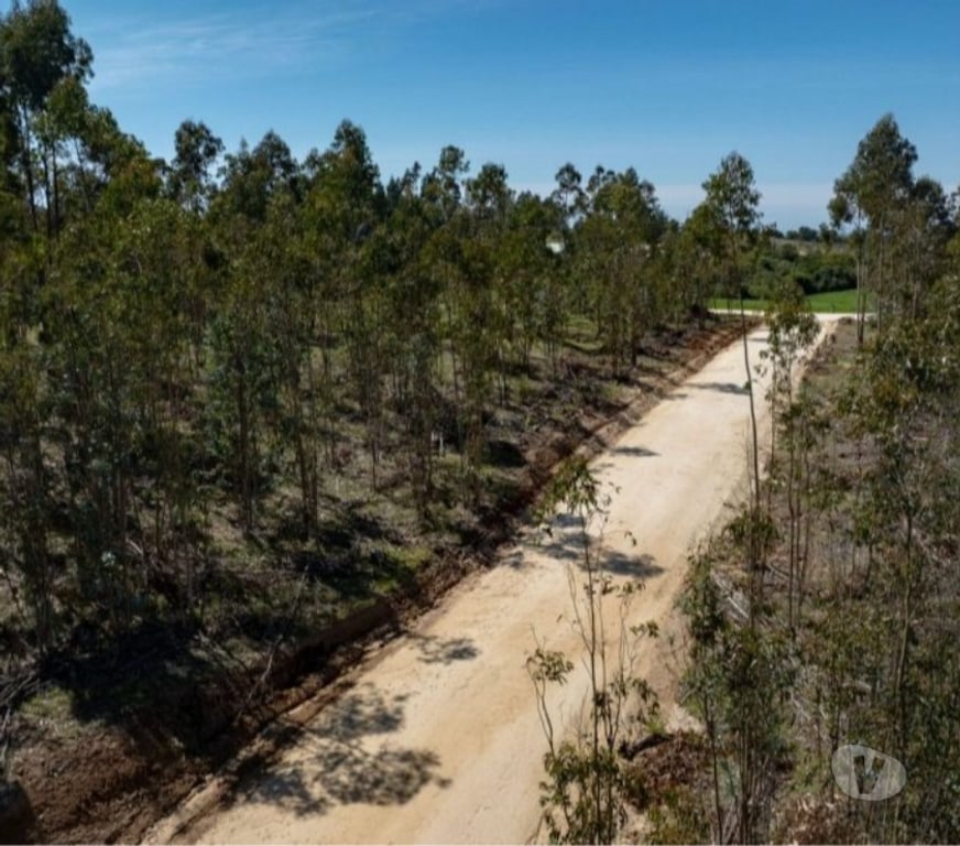 Parcelas en Venta Cardenal Caro Navidad - Fotos de Terreno Con Hermoso Entrono Vive Matanzas