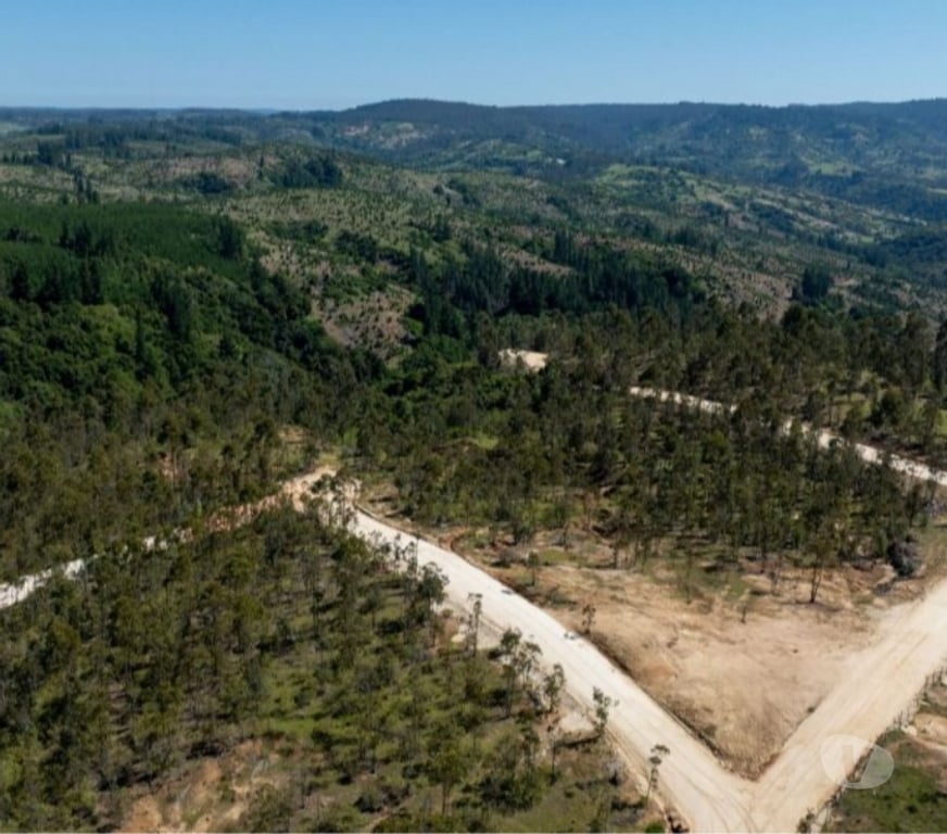 Parcelas en Venta Cardenal Caro Navidad - Fotos de Terreno Con Hermoso Entrono Vive Matanzas