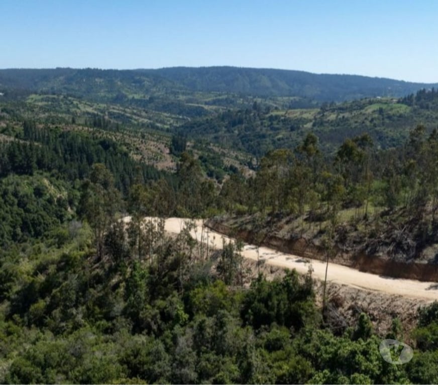 Parcelas en Venta Cardenal Caro Navidad - Fotos de Terreno Con Hermoso Entrono Vive Matanzas