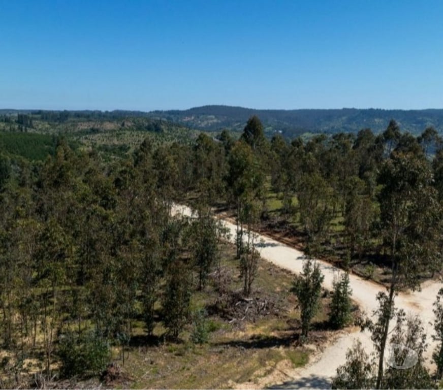 Parcelas en Venta Cardenal Caro Navidad - Fotos de Terreno Con Hermoso Entrono Vive Matanzas