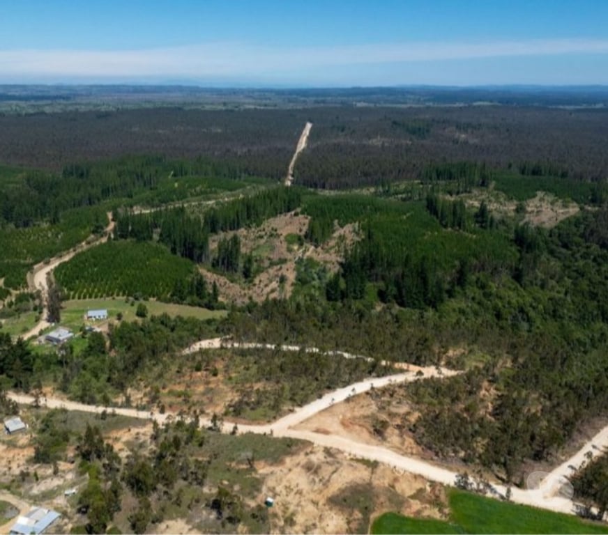 Parcelas en Venta Cardenal Caro Navidad - Fotos de Terreno Con Hermoso Entrono Vive Matanzas