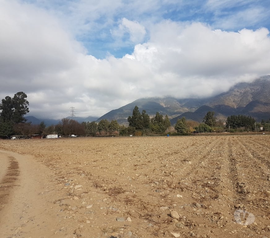 Parcelas en Venta Maipo Paine - Fotos de Venta Parcela 4,59 hectáreas, Águila Norte.