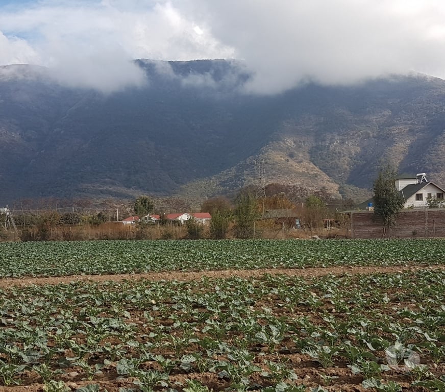 Parcelas en Venta Maipo Paine - Fotos de Venta Parcela 4,59 hectáreas, Águila Norte.