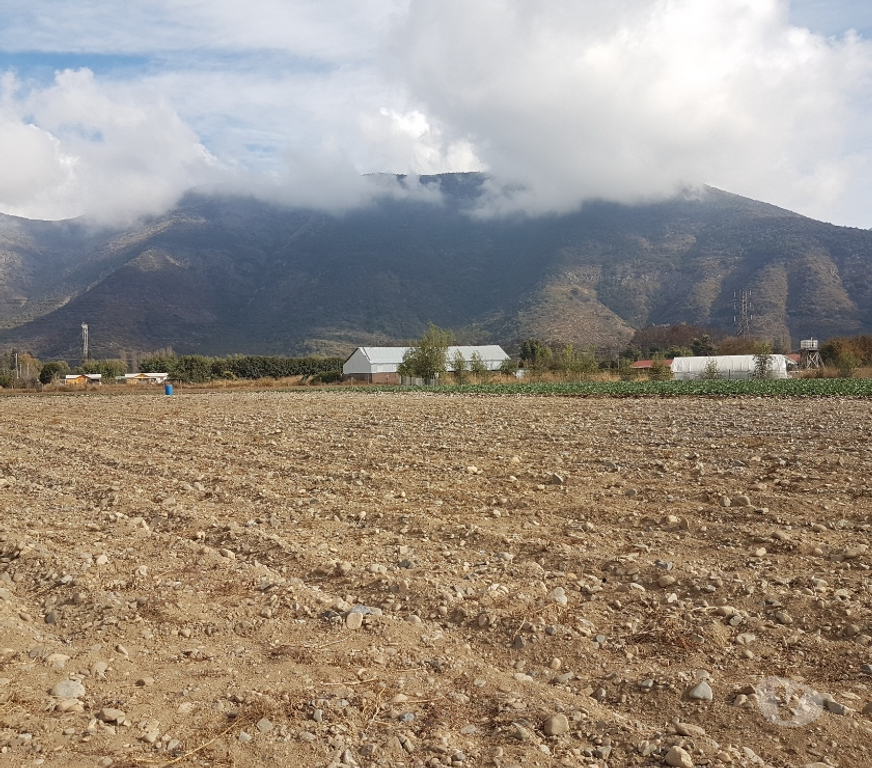 Parcelas en Venta Maipo Paine - Fotos de Venta Parcela 4,59 hectáreas, Águila Norte.