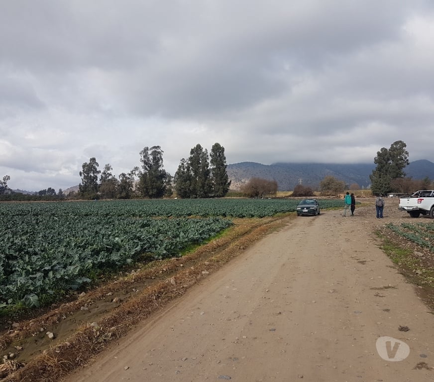 Parcelas en Venta Maipo Paine - Fotos de Venta Parcela 4,59 hectáreas, Águila Norte.